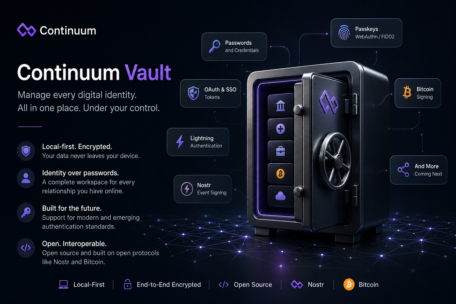 Continuum Vault: Rethinking Digital Identity